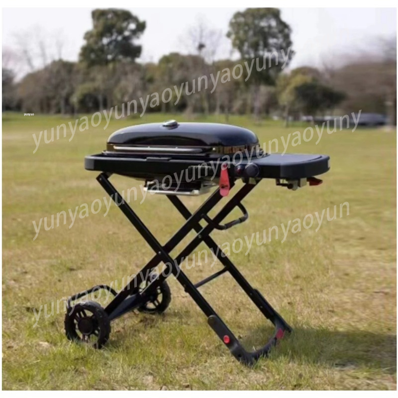 ポータブル折りたたみ式屋外キャンプグリルパティオバーベキュー - Camping Cooking Easy のレビューと価格